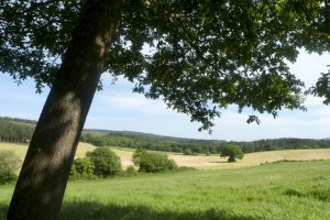 Stage of San Romao da Retorta a Melide