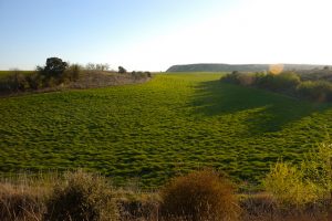 Stage from Benavente to Alija del Infantado