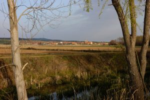 Etapa de Alija del infantado a La Bañeza