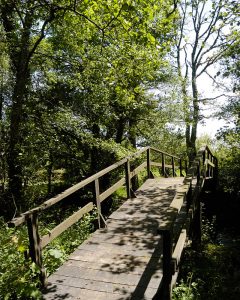 Etapa de Abadín a Vilalba