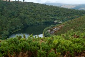 Etapa de Olveiroa a Fisterra