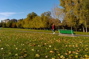 Etapa de Ruesta a Sangüesa