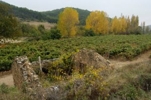 Stage of Torres del Río to Logroño
