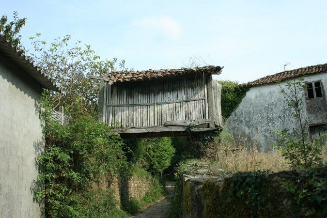 Img 0481480001281306615