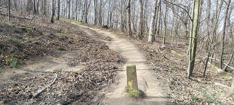 Camino _de_Santiago_en_Guipúzcoa