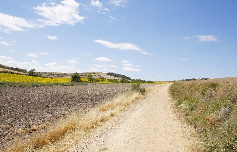 Camino de Santiago