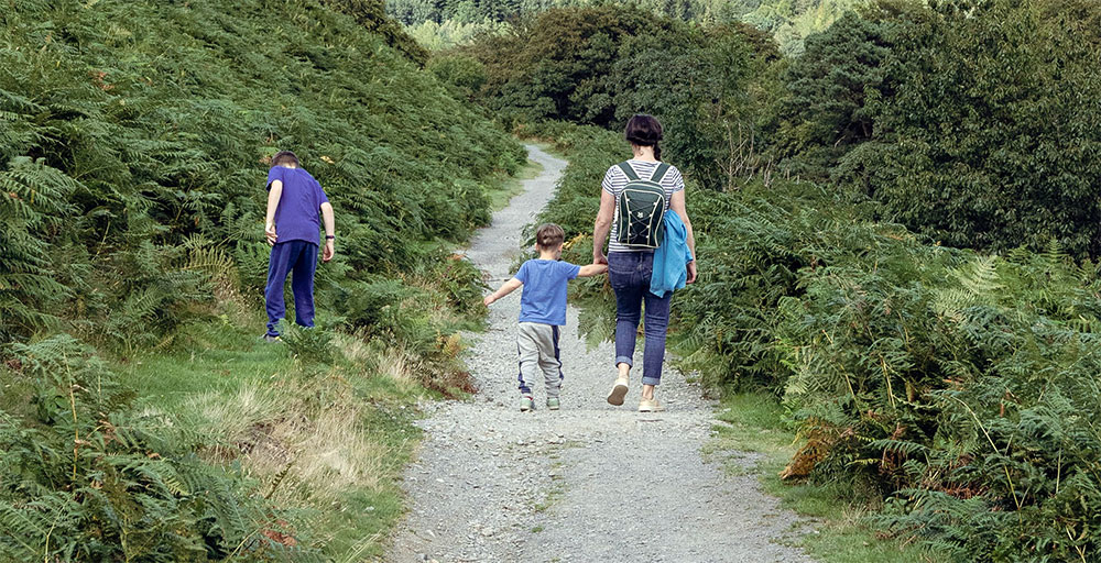 Camino de Santiago