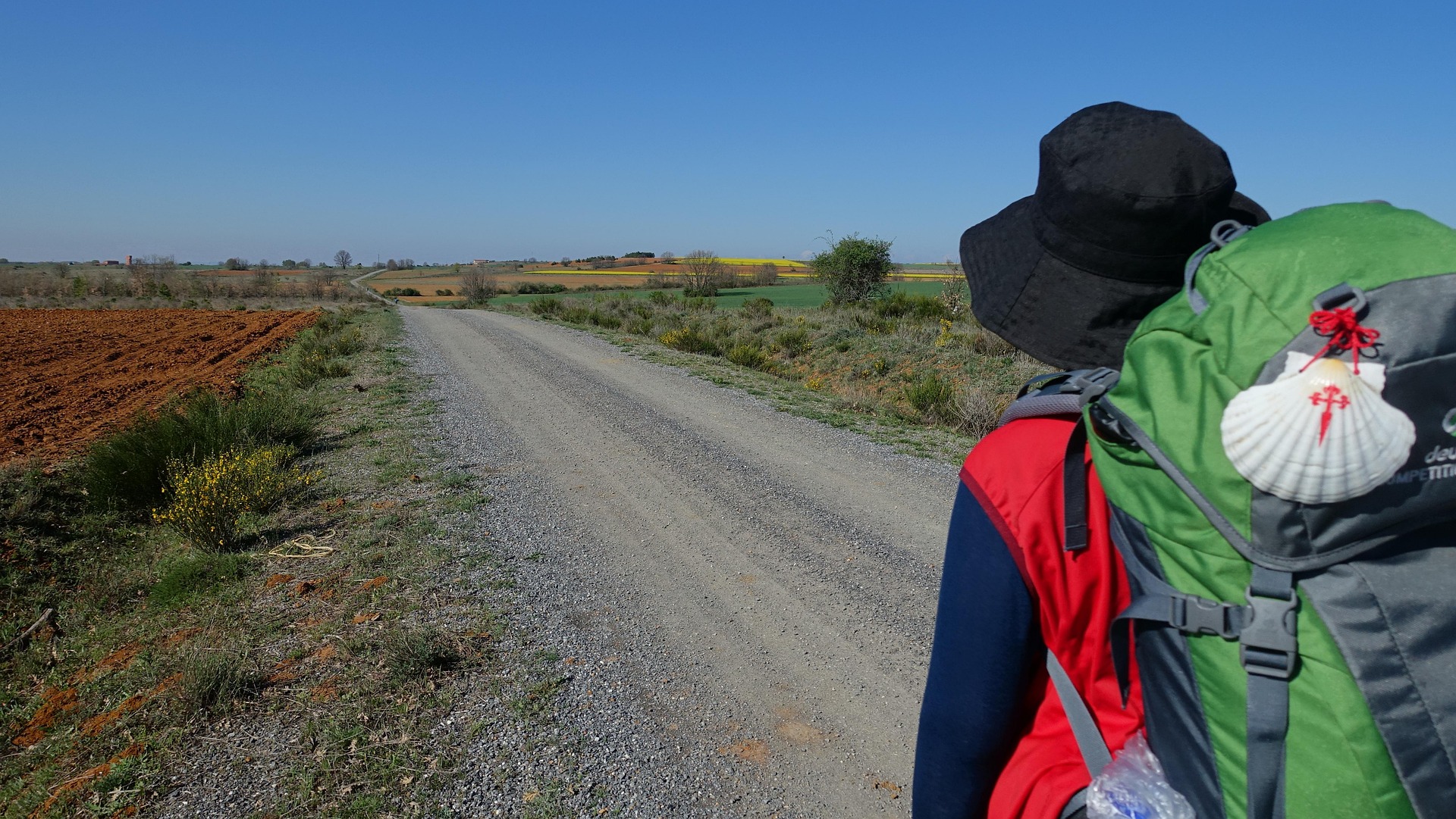 caminodesantiago_Consumer