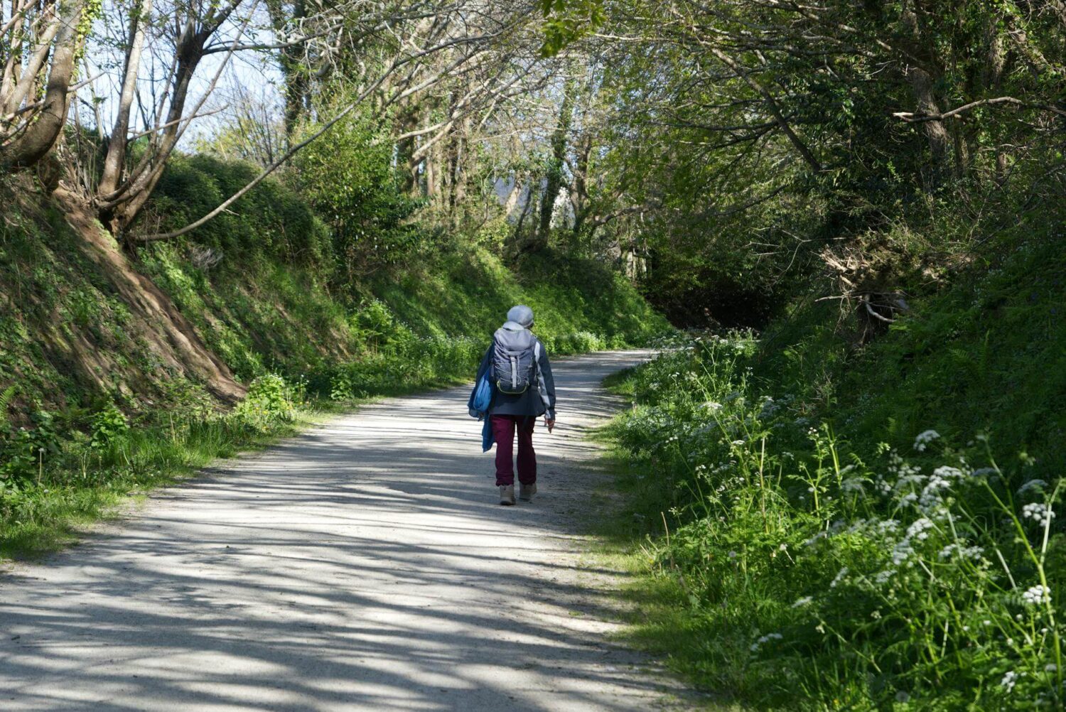 Camino_Santiago_Consumer