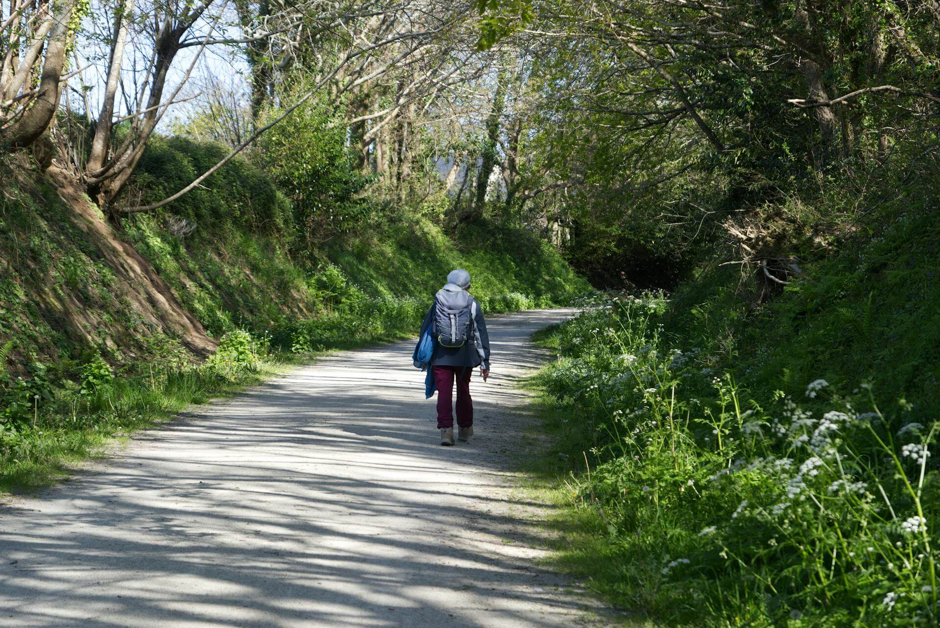 Camino_Santiago_Consumer
