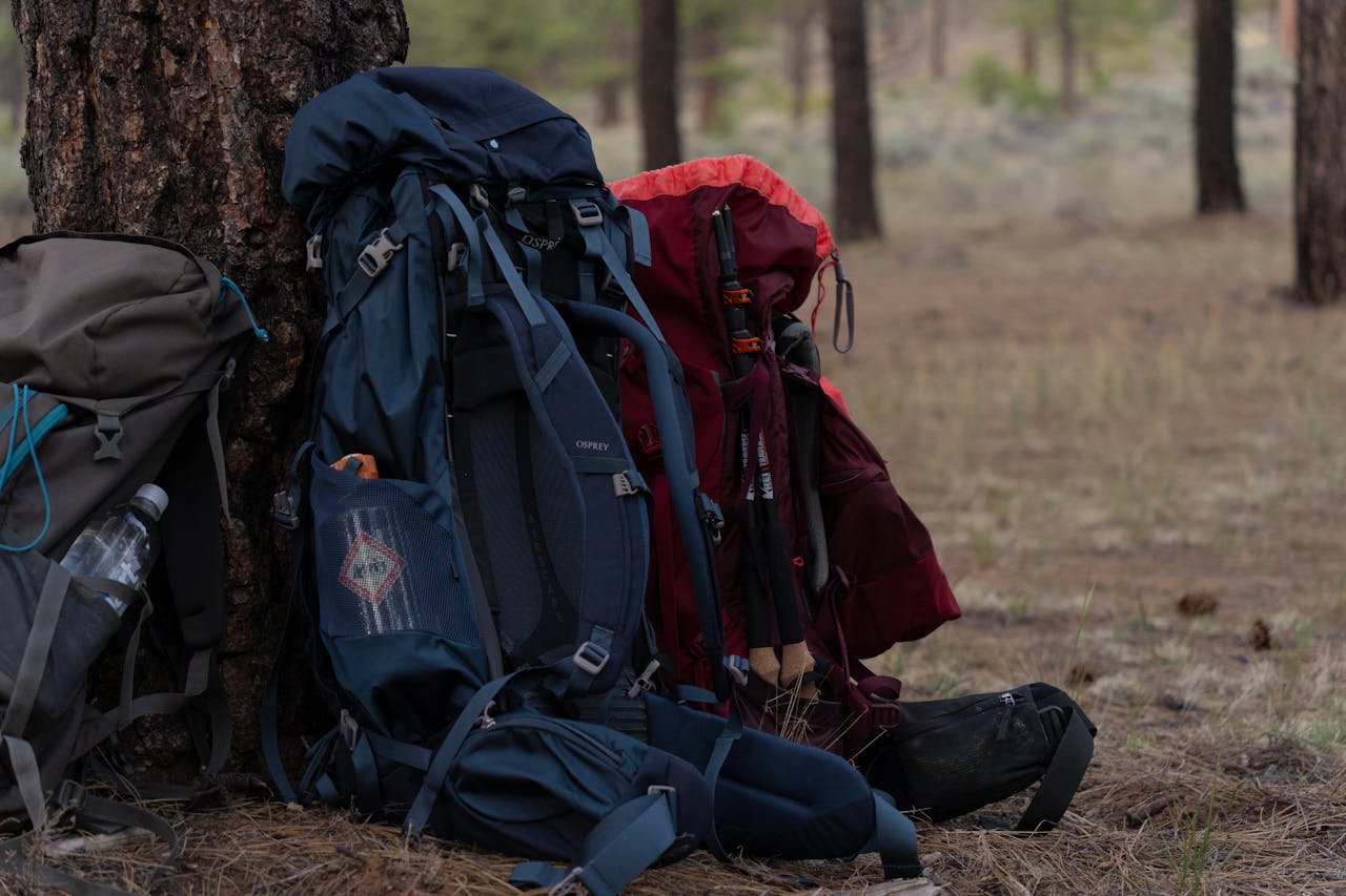 Camino_Santiago_Consumer7