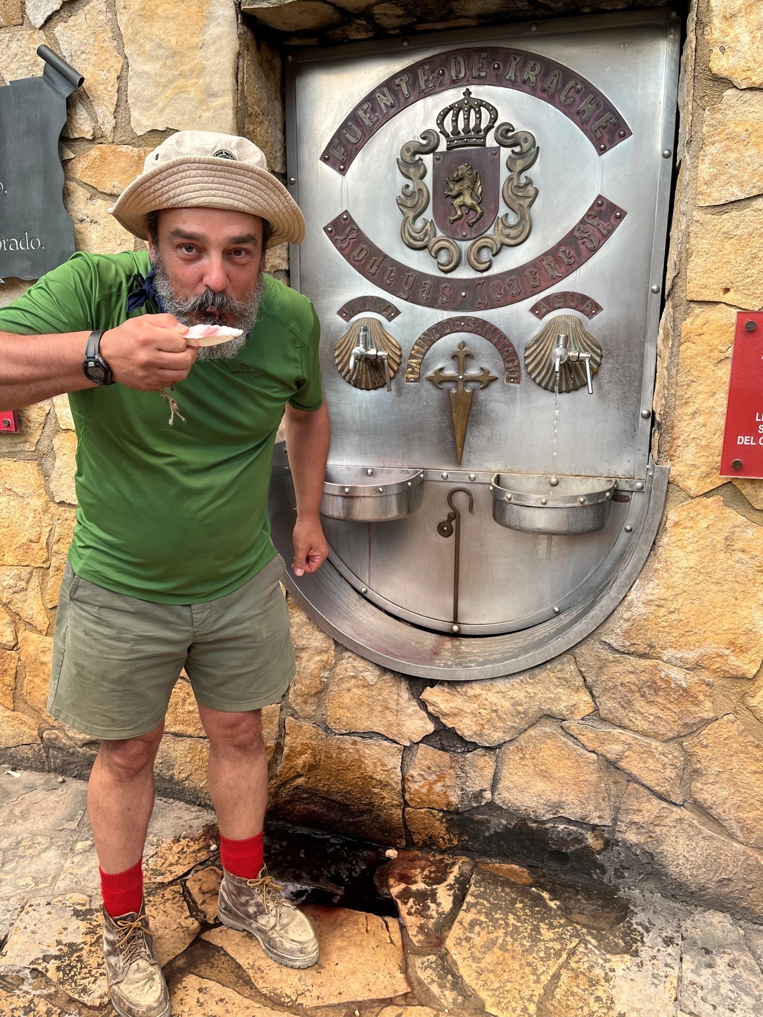 In vino