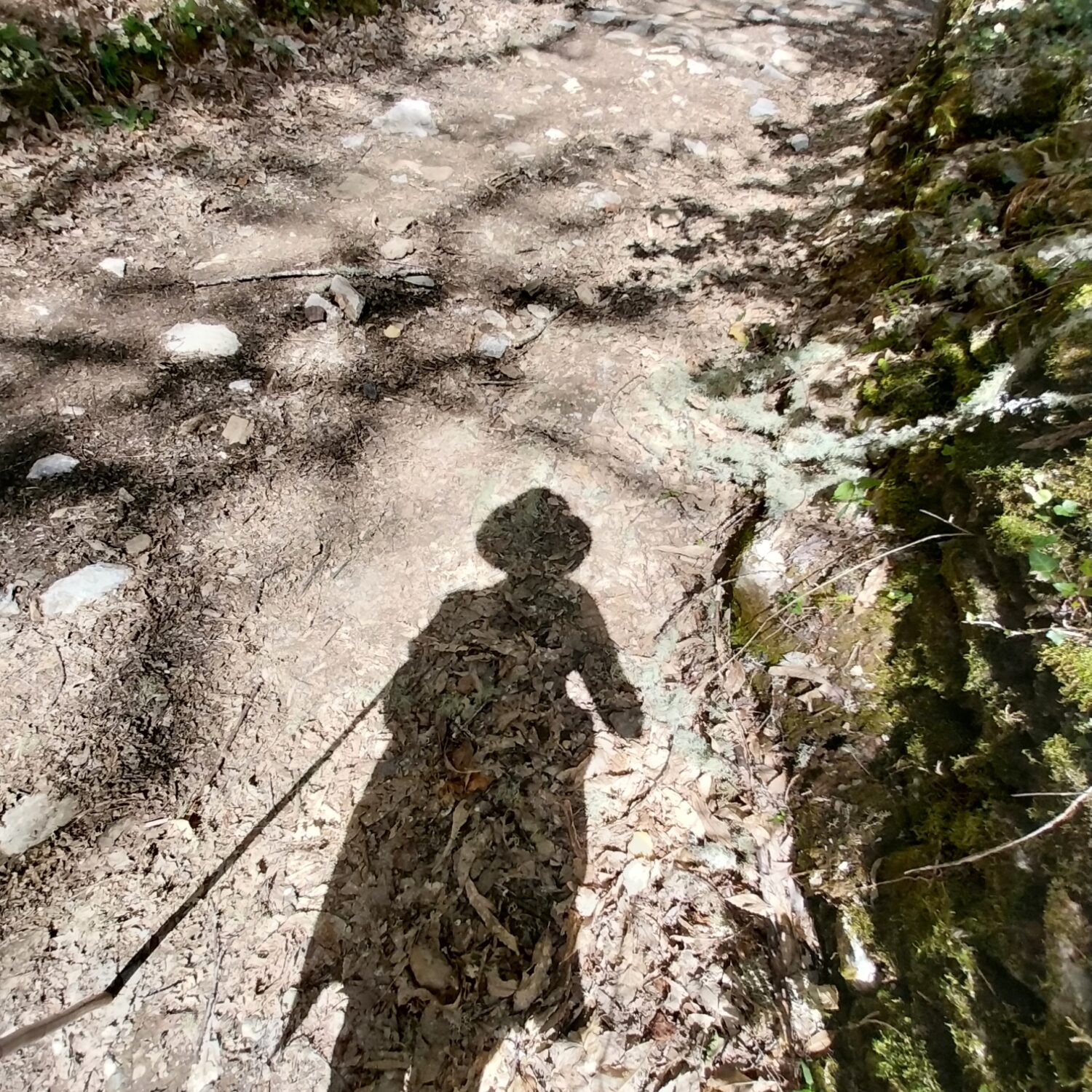 Camino a ocebreiro