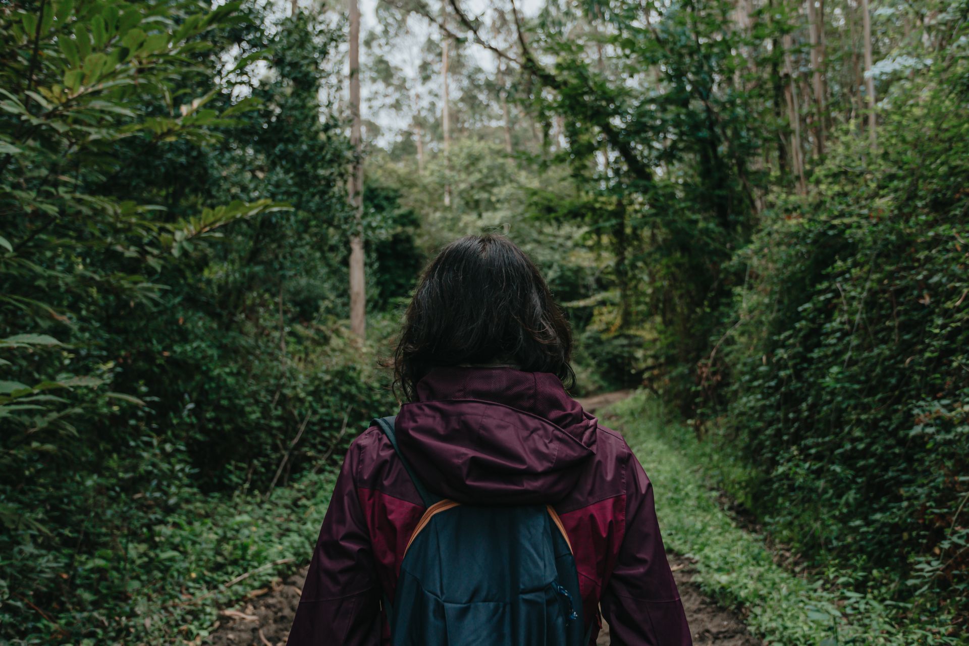 camino_santiago_solitario